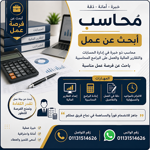 محاسب خبرة 20 سنة